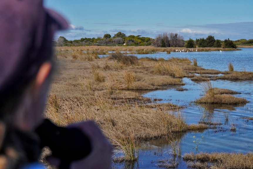 A woman pictured out from behind as she looks out over wetlands