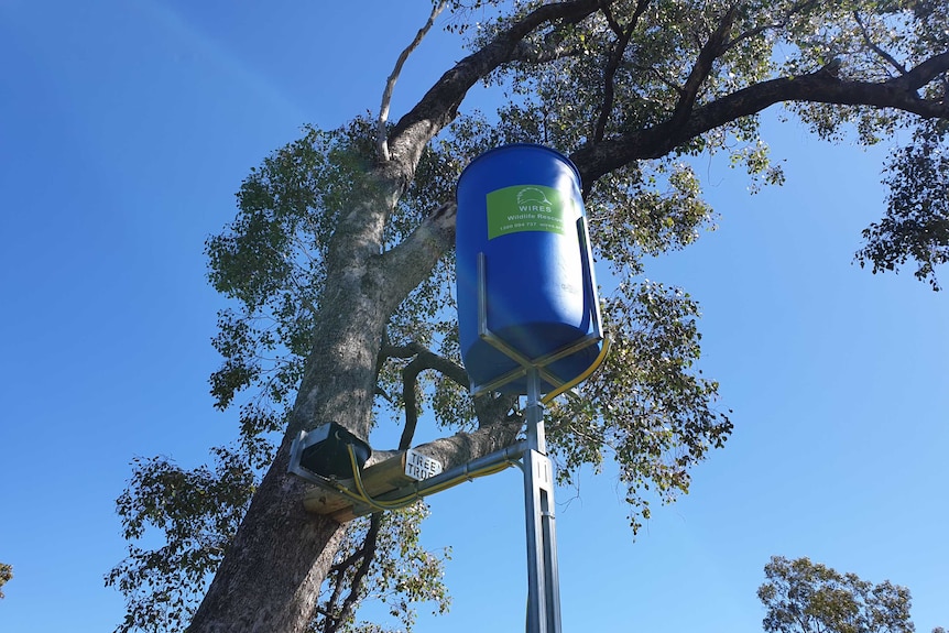 A large blue drum full of water suspended above the ground near a tree, with multiple pumps.