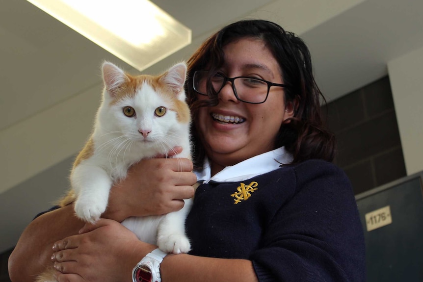 student with cat during kitten therapy at Saint Francis Xavier School in Canberra