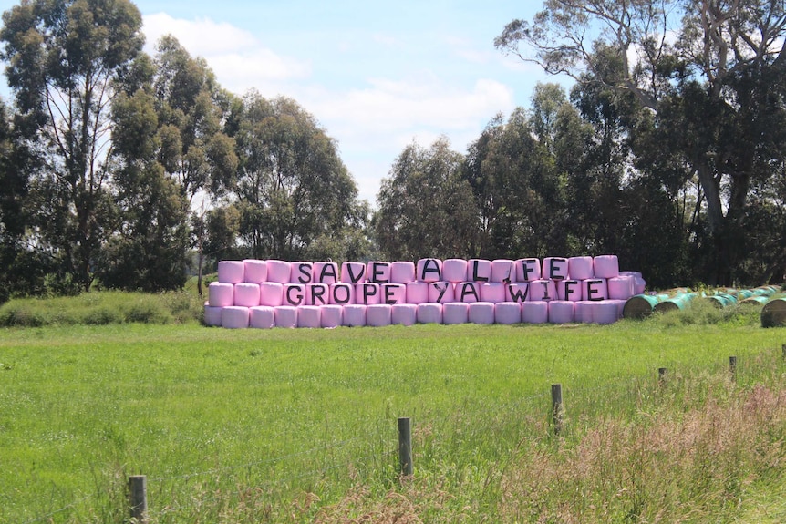 Silage bales with the words "save a life, grope ya wife" written on them.