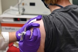 A patient is injected with a vaccine during a clinical trial.