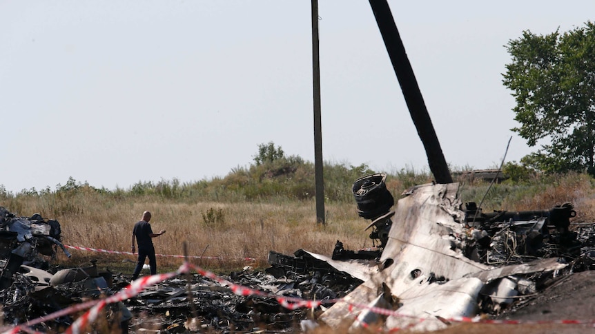 Investigator at crash site