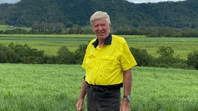 Farmer Bill Hobbs stands in front of a cane field, trees and other paddocks are visible in the background