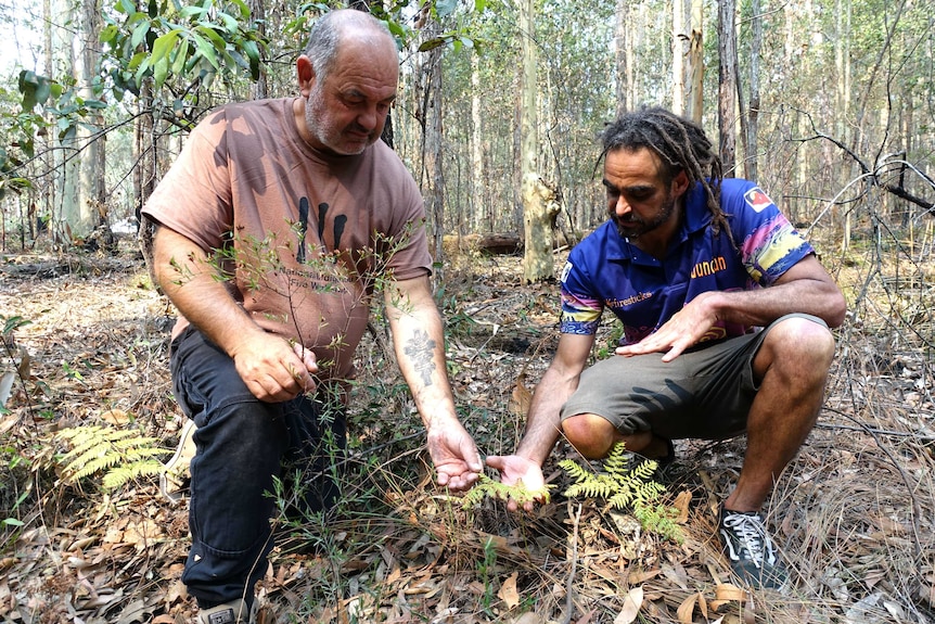 Two men assessing the bush ground