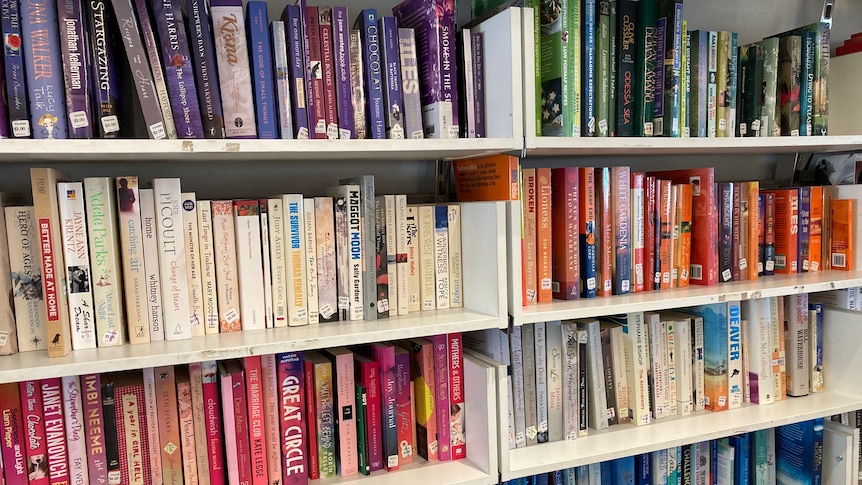 A series of op shop bookshelves, with books arranged by spine colour: a purple, white, green, orange and pink section