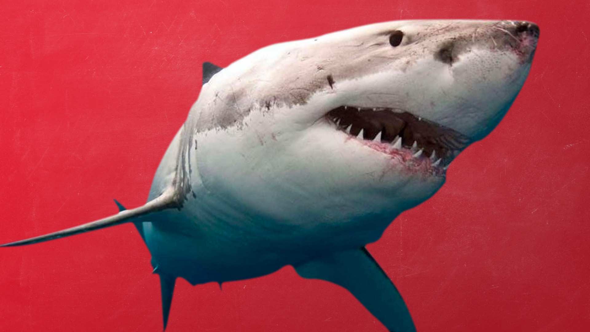 Freaked out when you see clusters of bumps and holes? You could have