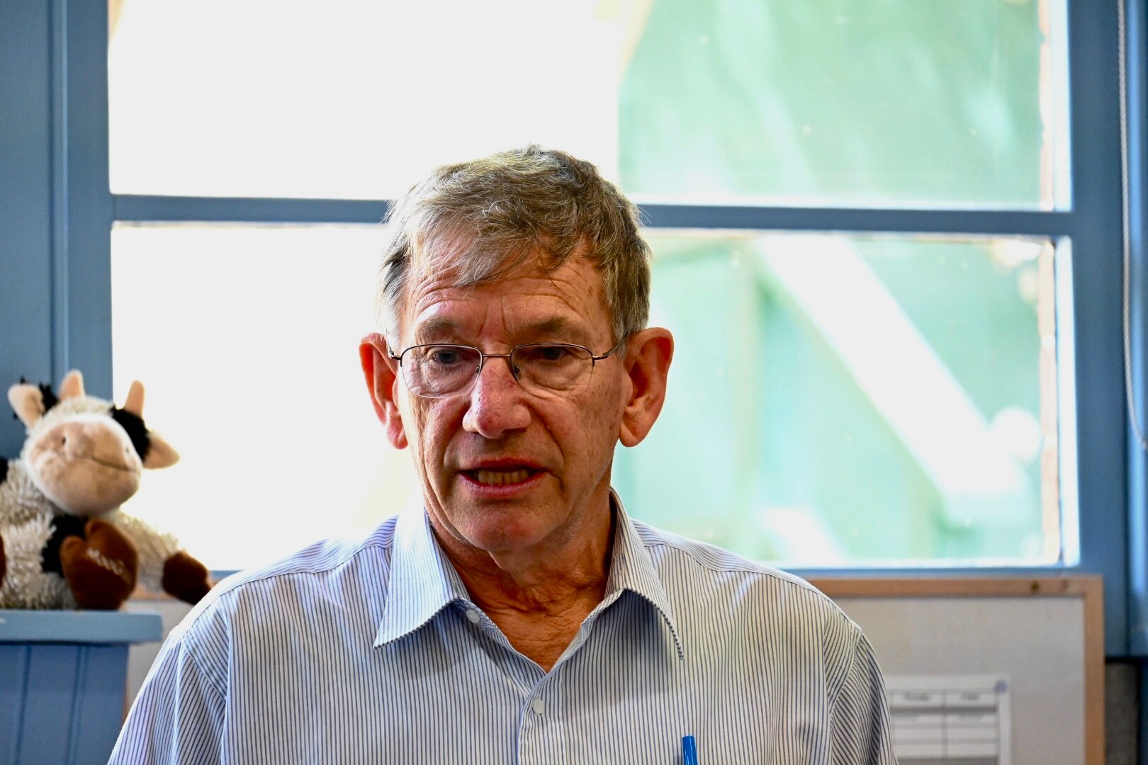 A man in a blue shirt and wearing glasses stands in front of a large window, a stuffed toy cow perched on  it's sill behind him.