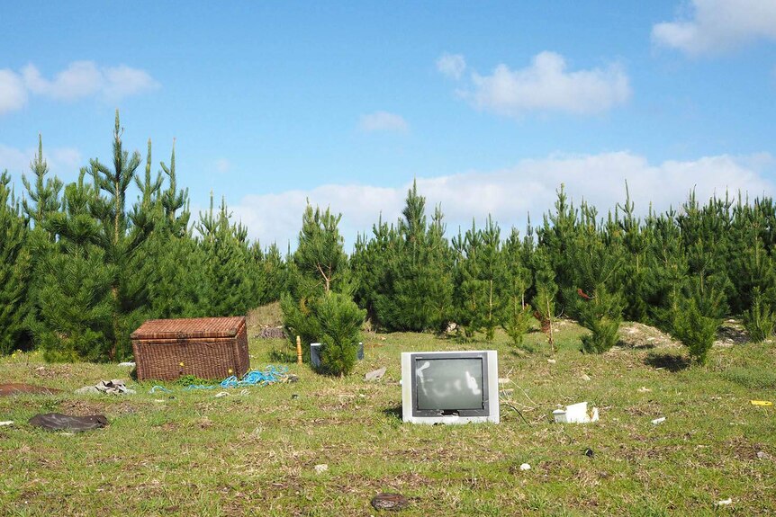 A television, wicker chest and other assorted rubbish lying on grass near pine trees.