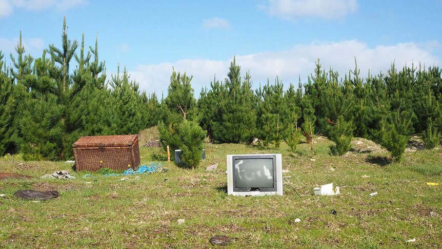 A television, wicker chest and other assorted rubbish lying on grass near pine trees.