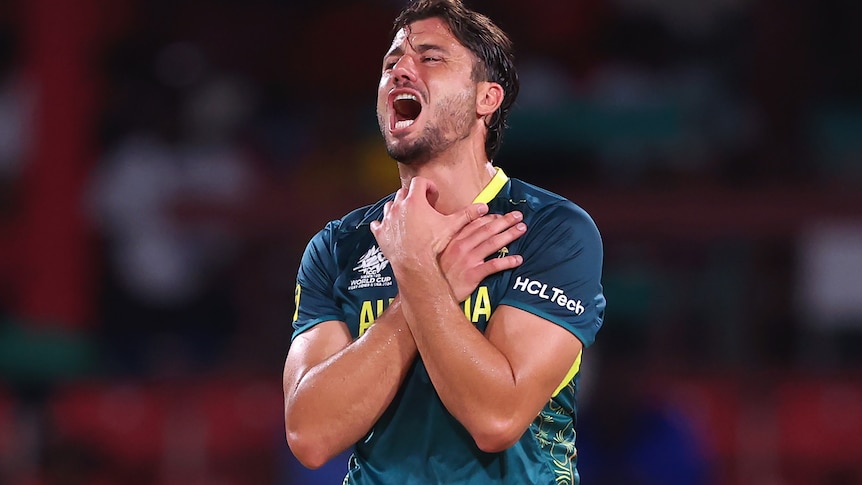 Marcus Stoinis holds his hands to his chest and yells in frustration