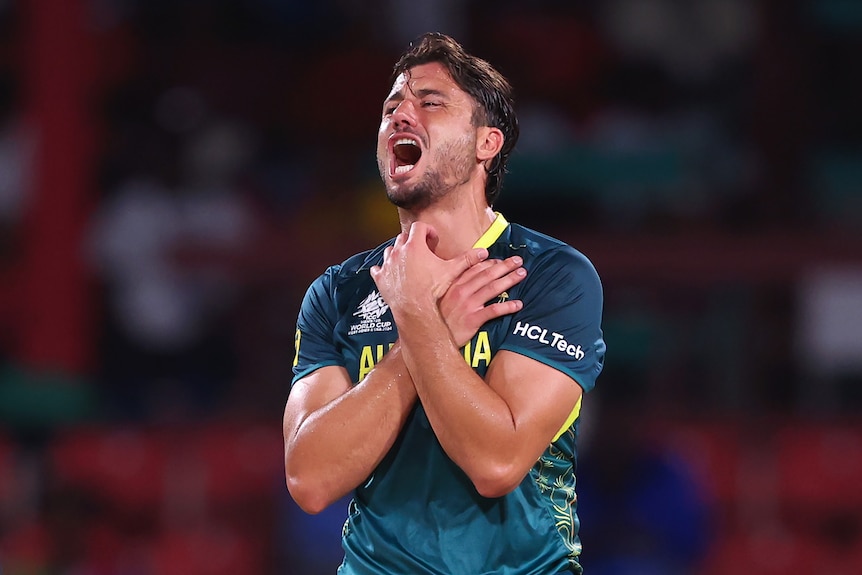 Marcus Stoinis holds his hands to his chest and yells in frustration