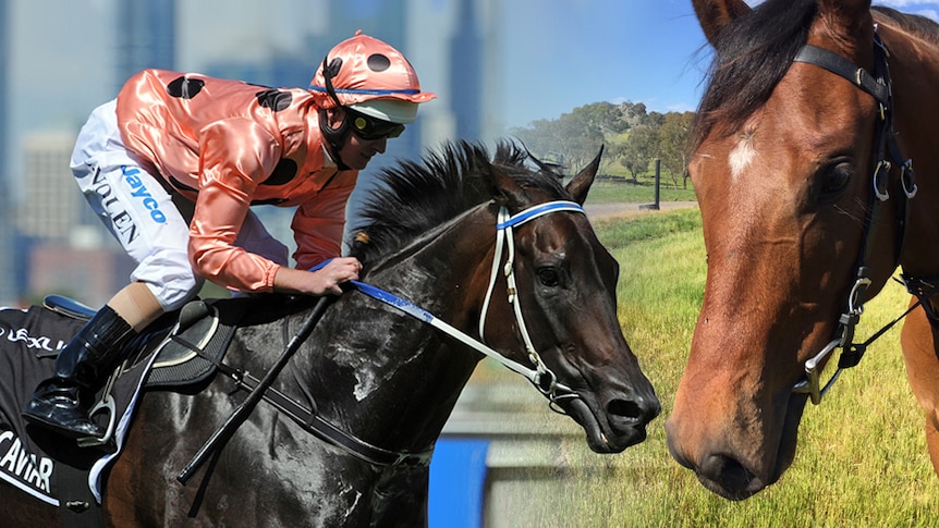 Black Caviar and Oscietra