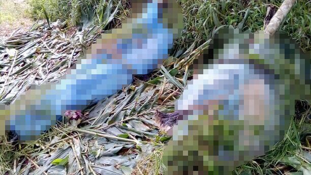 The massacre of more than a dozen women and children in the village of Karida has rocked Papua New Guinea.
