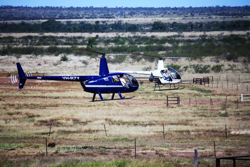 Two helicopters above a cattle station in the Kimberley.