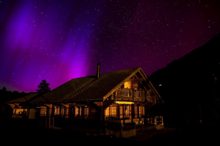 Purple lights behind a timber building 