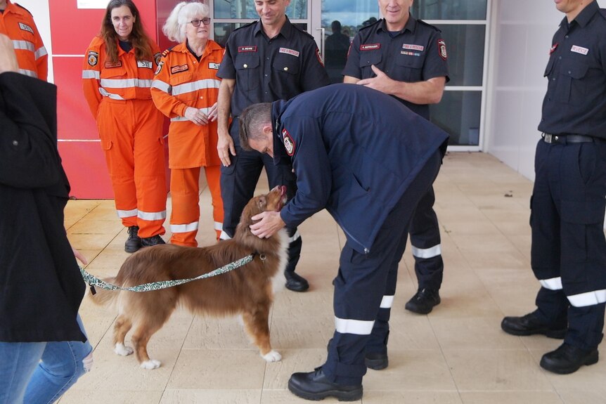 A dog stands in the middle of a crowd of firefighters and rescue service personnel.
