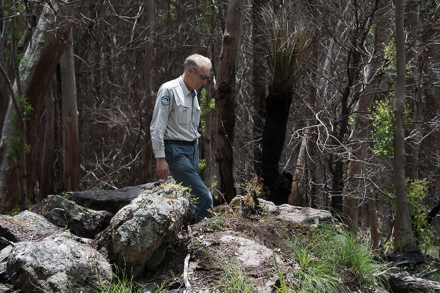 A tall, greying man walks over rocks.