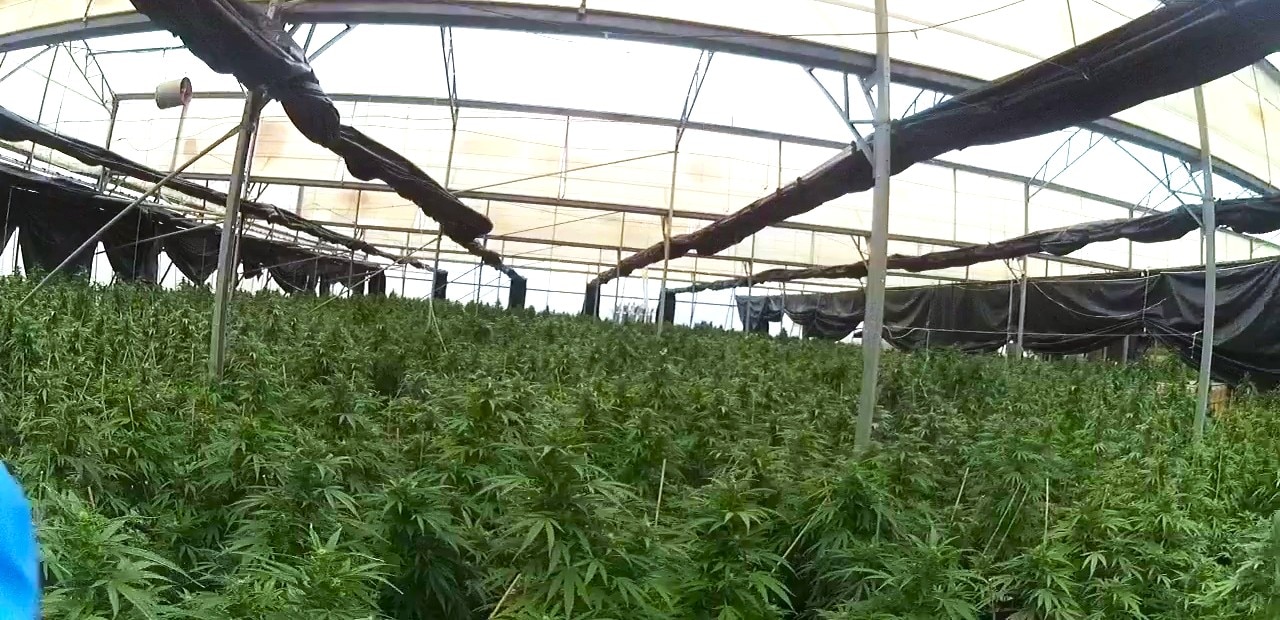 Two jailed in Victoria over cannabis haul worth over $22 million