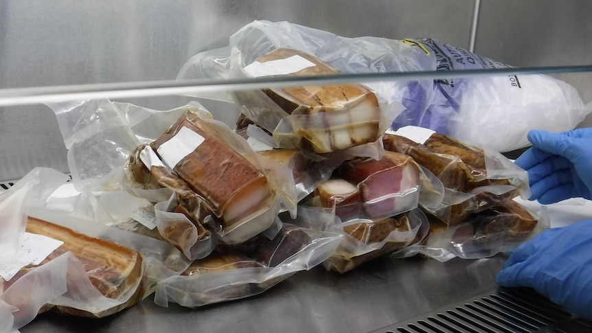 Meat seized by Department of Agriculture at Australian airports.
