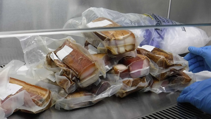 Processed meat in clear packaging seized by staff at airports.