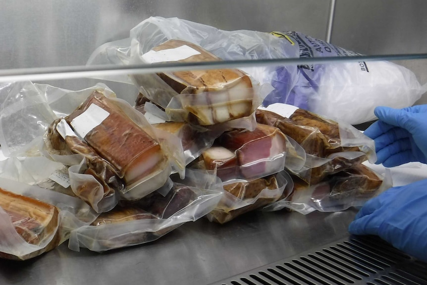 Carne procesada en envase transparente incautada por personal en aeropuertos.