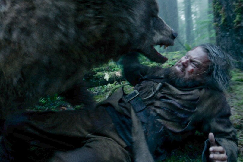 The Revenant: Leonardo DiCaprio 'not at liberty' to speak about filming