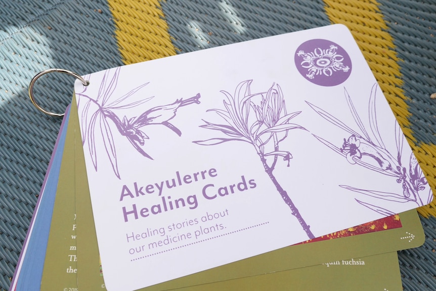 Akeyulerre, the Arrente Healing Centre bush foods cards.