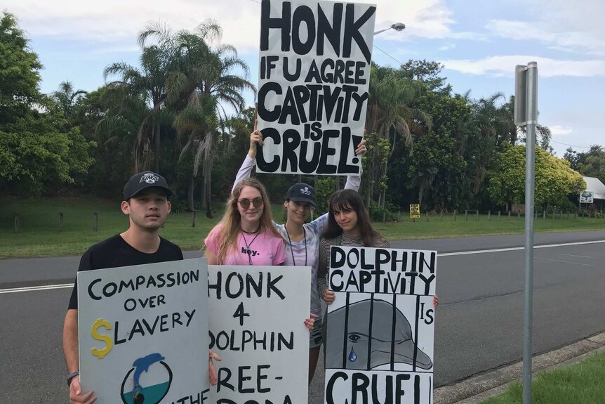 Dolphin protesters 2