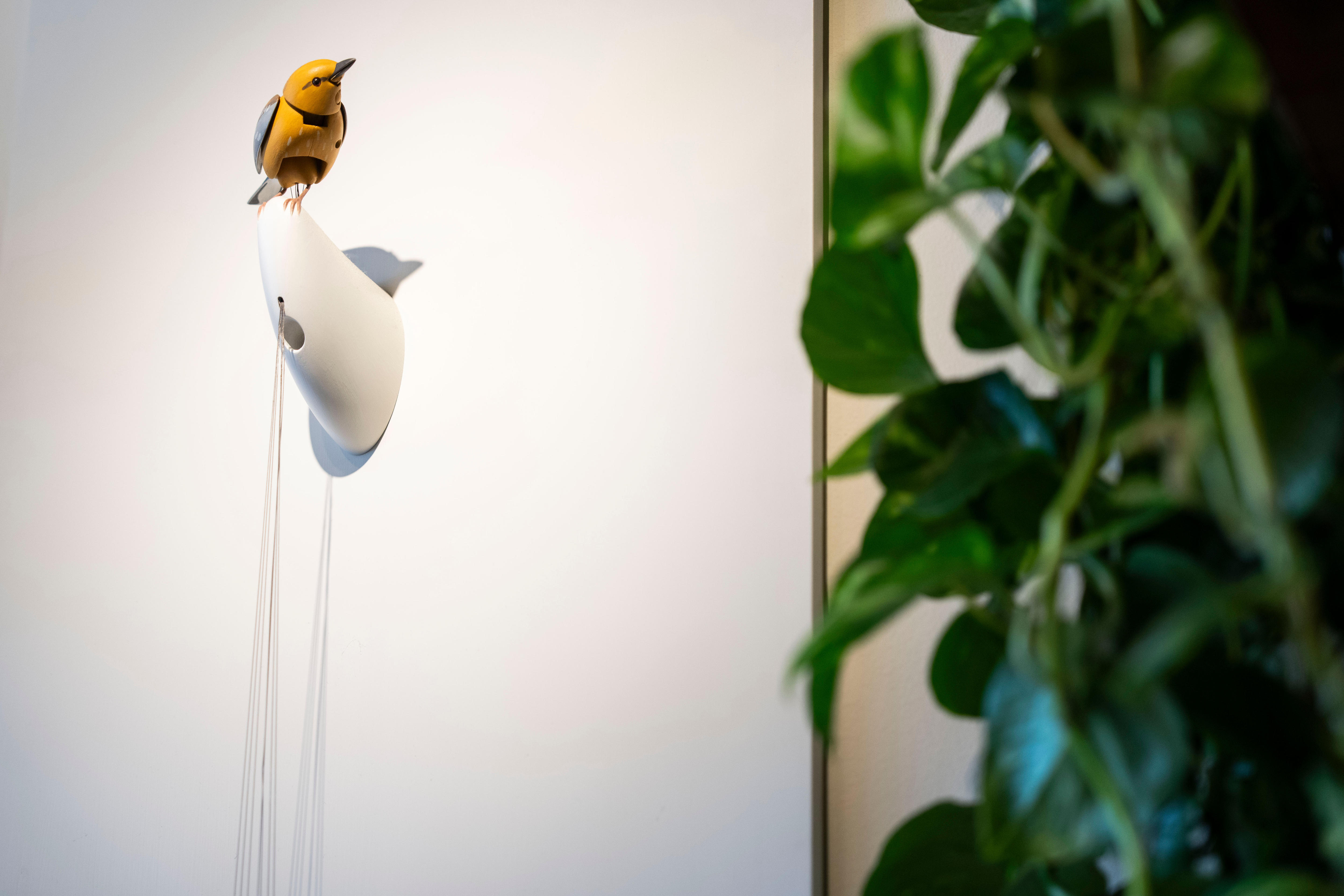 The toy store, $15m bird and famous singer at the centre of an online feud