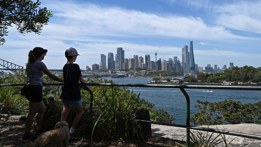 The Sydney CBD can be seen as people walk their dog along the nature trail at Balls Head Reserve 
