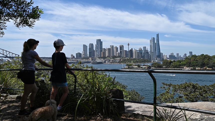 The Sydney CBD can be seen as people walk their dog along the nature trail at Balls Head Reserve 