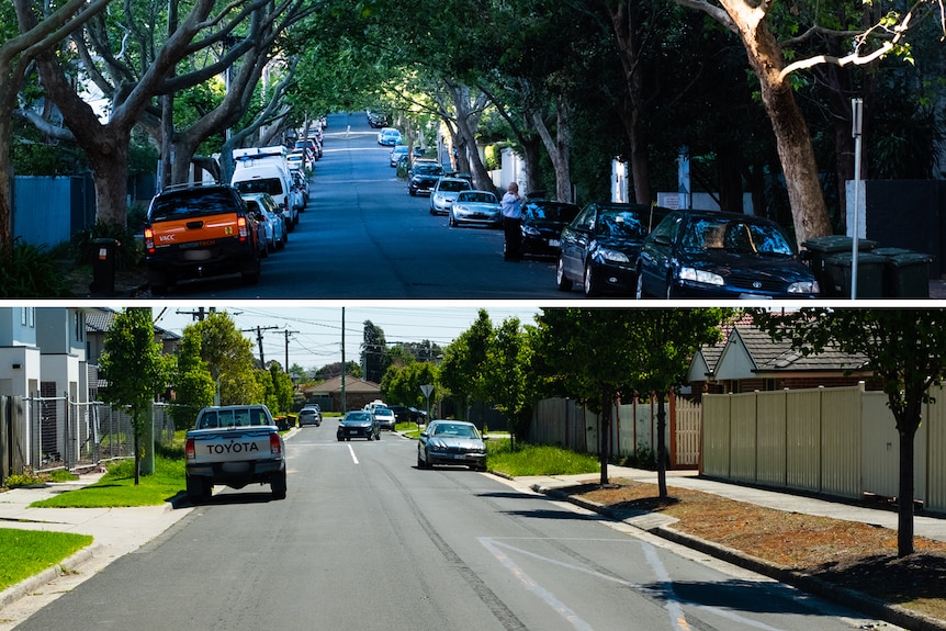 A leafy shady street on top in Toorak and a sunny street with fewer trees in Clayton.