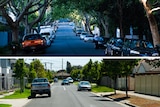 A leafy shady street on top in Toorak and a sunny street with fewer trees in Clayton.