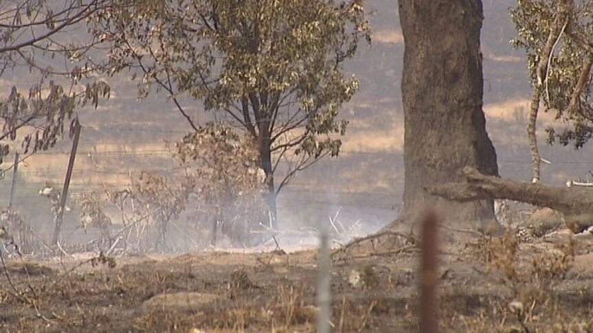 Victorian fires: A very special day for farmer in need