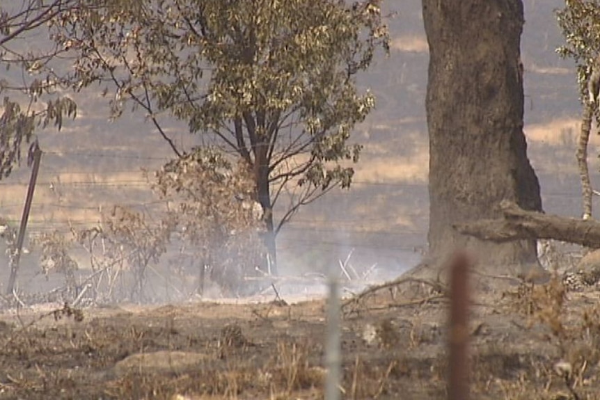Victorian fires: A very special day for farmer in need