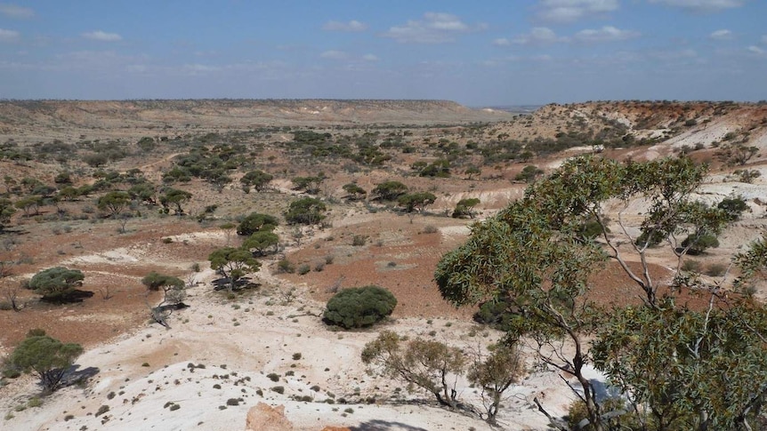 A landscape from the top of a mountain showing the outback with scatterings of red and white sand