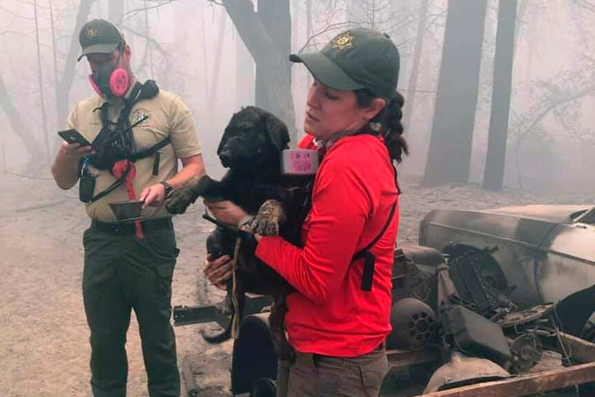 A woman in a red shirt holds a black dog which has been rescued from a destroyed house.
