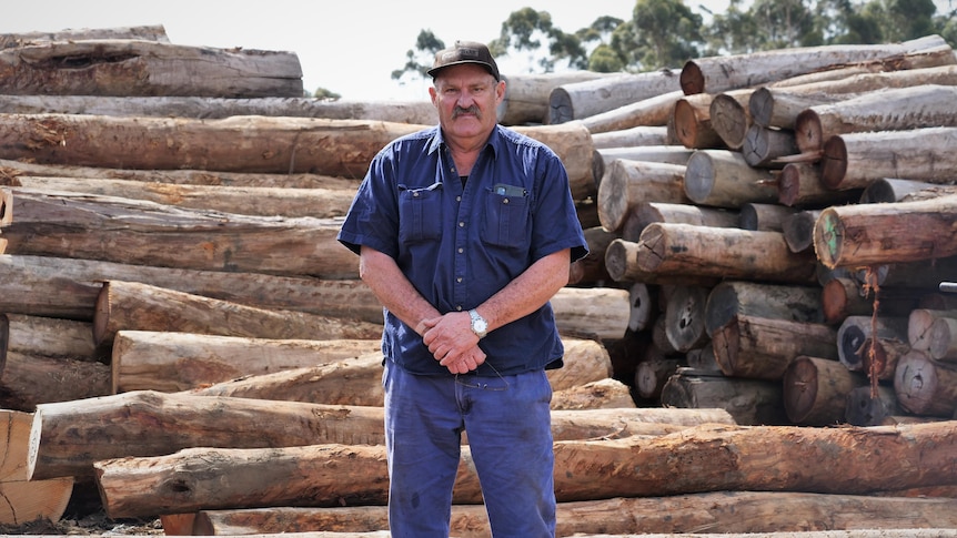 A moustachioed man wearing work gear and a dark cap stands in front of a pile of timber. 