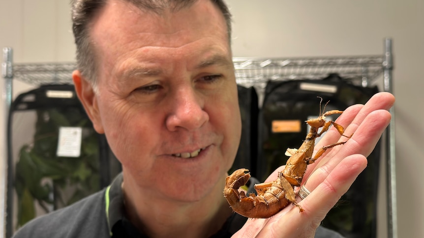 A close up of a white man holding a brown scorpion in his hand