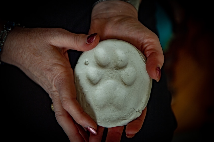 A close-up of Donna's hands, gently holding a plaster cast of Dora's paw print.