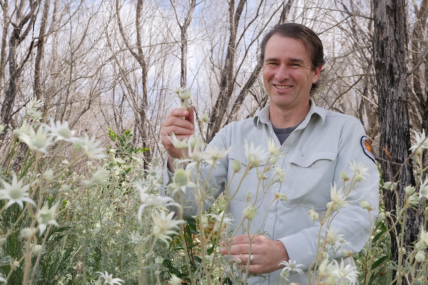 A man with dark hair wearing a long sleeve beige cotton shirt stands among tall white flowers.
