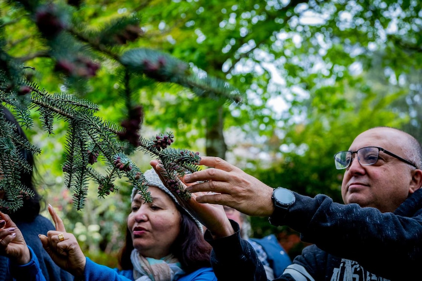 A man and a woman touching a plant