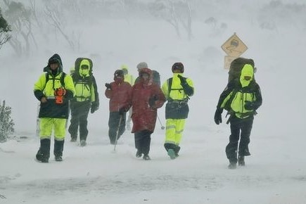 People in bright green clothing walk through the snow
