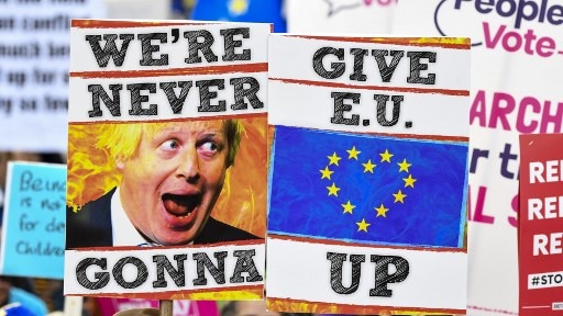 Protesters hold up placards that say "we're never gonna give EU up"