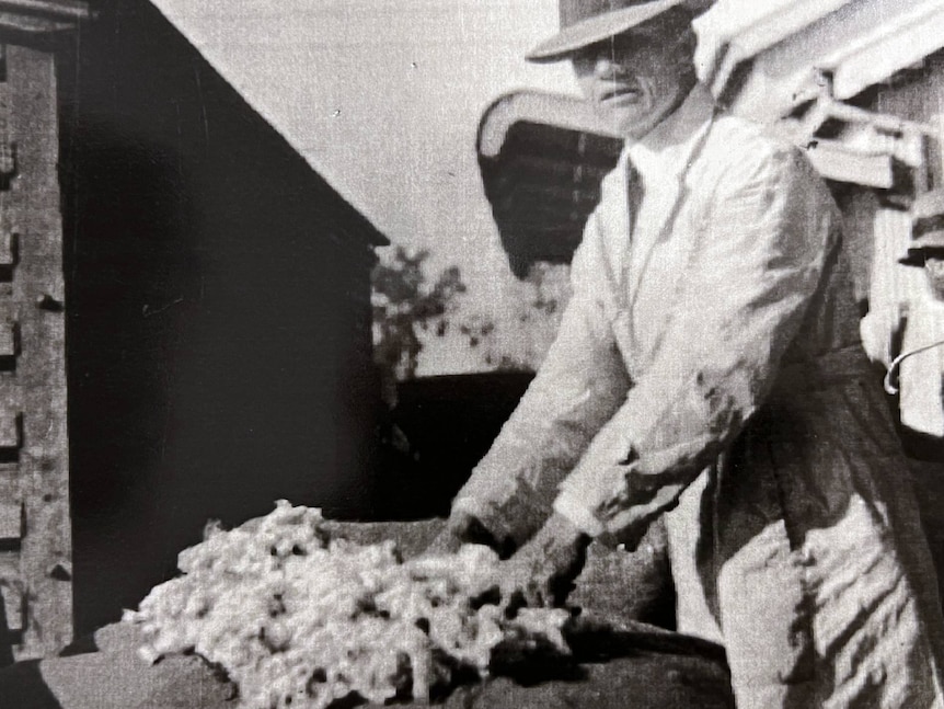 A man inspects cotton laid out on a table.