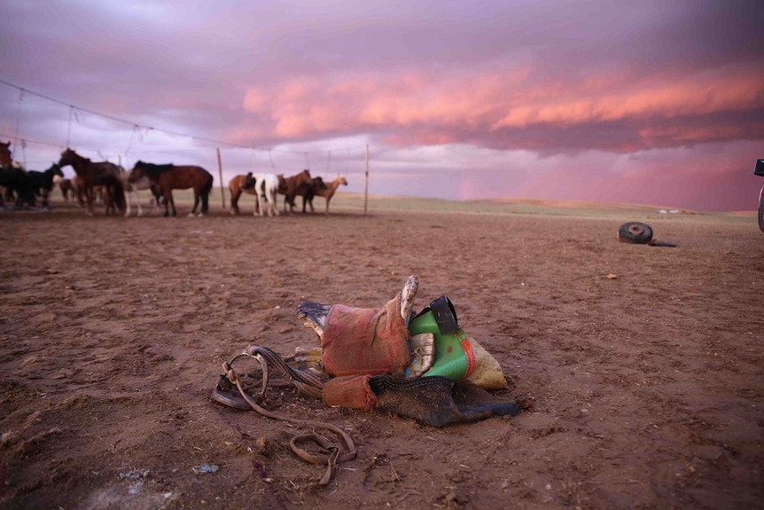 A saddle sits in the mud as horses stand in the background.