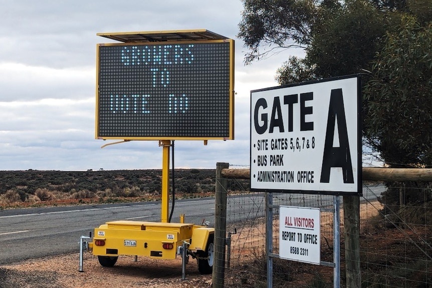 A yellow sign with electronically written words that read 'GROWERS TO VOTE NO'. Behind is a rural road.