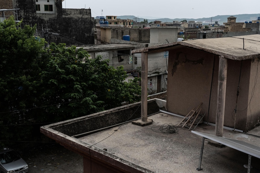 The view of surrounding streets shows cement rooftops and greenery. 