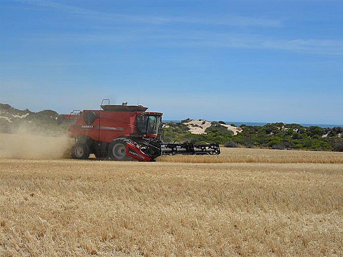 Hot work at harvest time on Yorke Peninsula