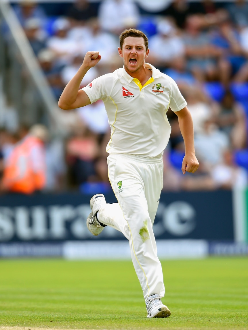 Hazlewood celebrates Root dismissal